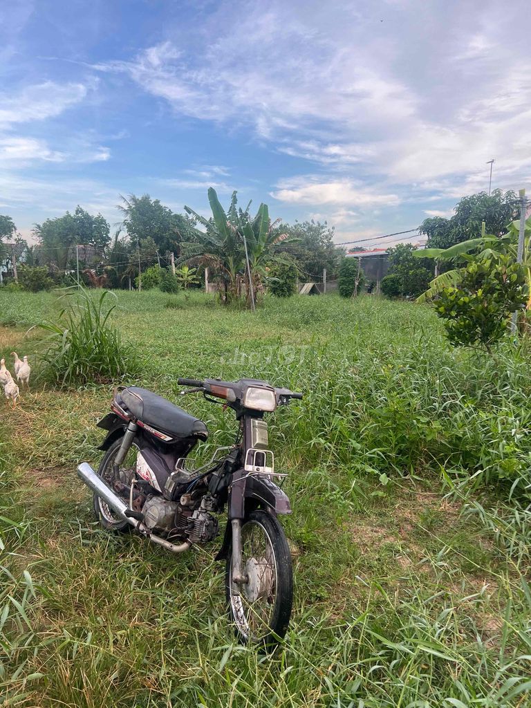 xác dream thái bao ký rút. Mua bán Xe máy tại Huyện Ba Tri Bến Tre được đăng bởi Bùi Thị Quỳnh như hình 4