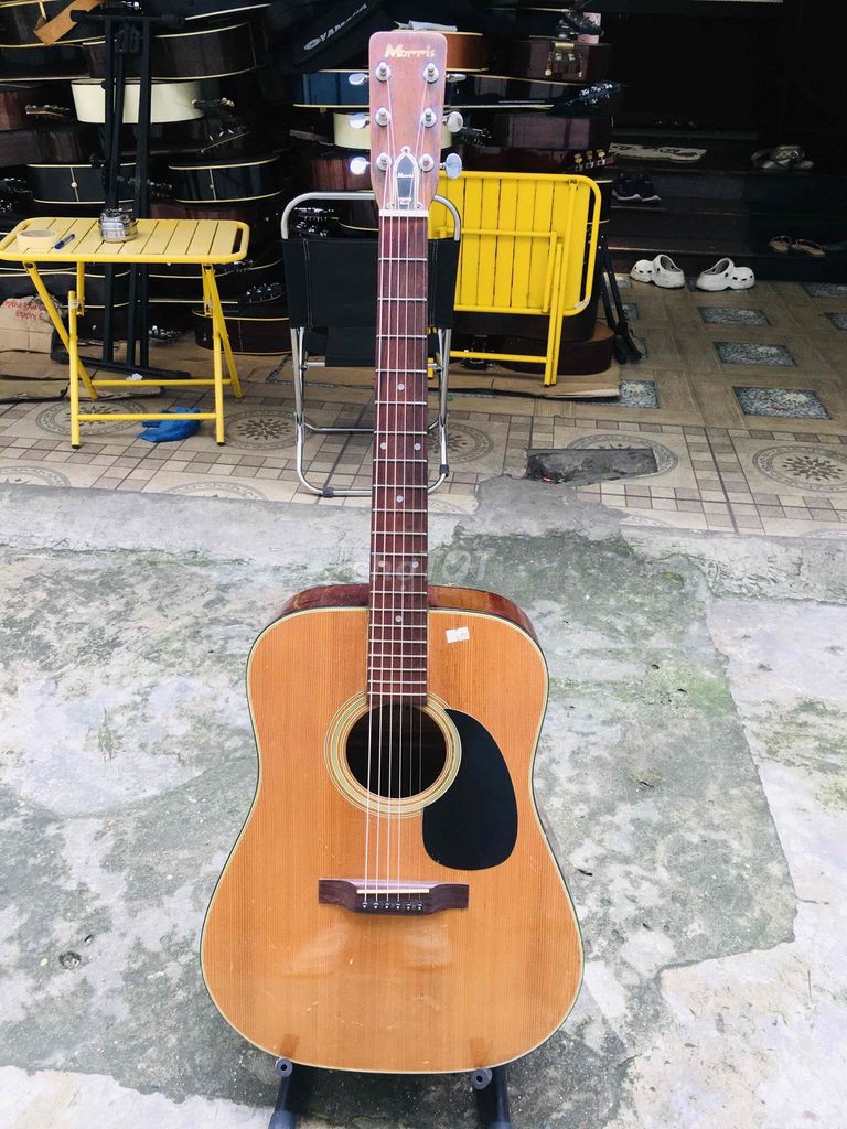 guitar acoustic nhật morris