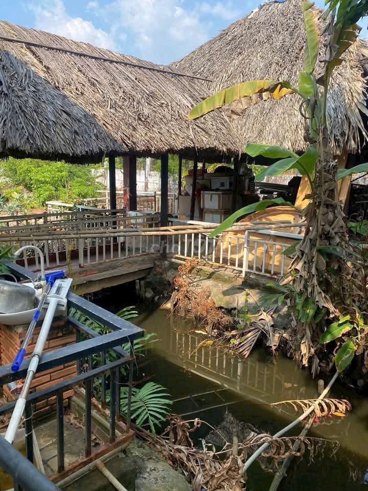 ? Nhà vườn 1000m² Bình Mỹ – Sẵn ở ngay ? vo, Xã Bình Mỹ, Huyện Củ Chi, Tp Hồ Chí Minh Huyện Củ Chi Tp Hồ Chí Minh