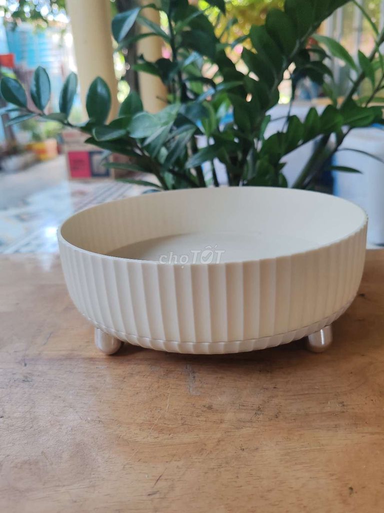 Khay đựng gia vị Carote Trắng kem. Mua bán Dụng cụ nhà bếp tại Quận 7 Tp Hồ Chí Minh được đăng bởi Vy Vy hình 1