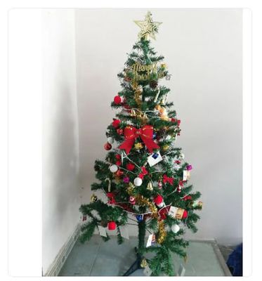 Cây thông noel cao 1m50 full phụ kiện. Mua bán Cây cảnh, đồ trang trí tại Quận Tân Bình Tp Hồ Chí Minh được đăng bởi Ngô Hưởng
