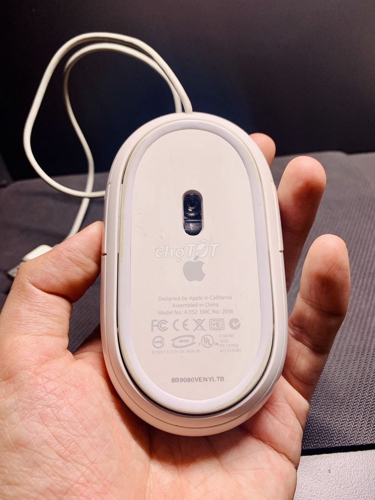 Bán con chuột Apple Mighty Mouse