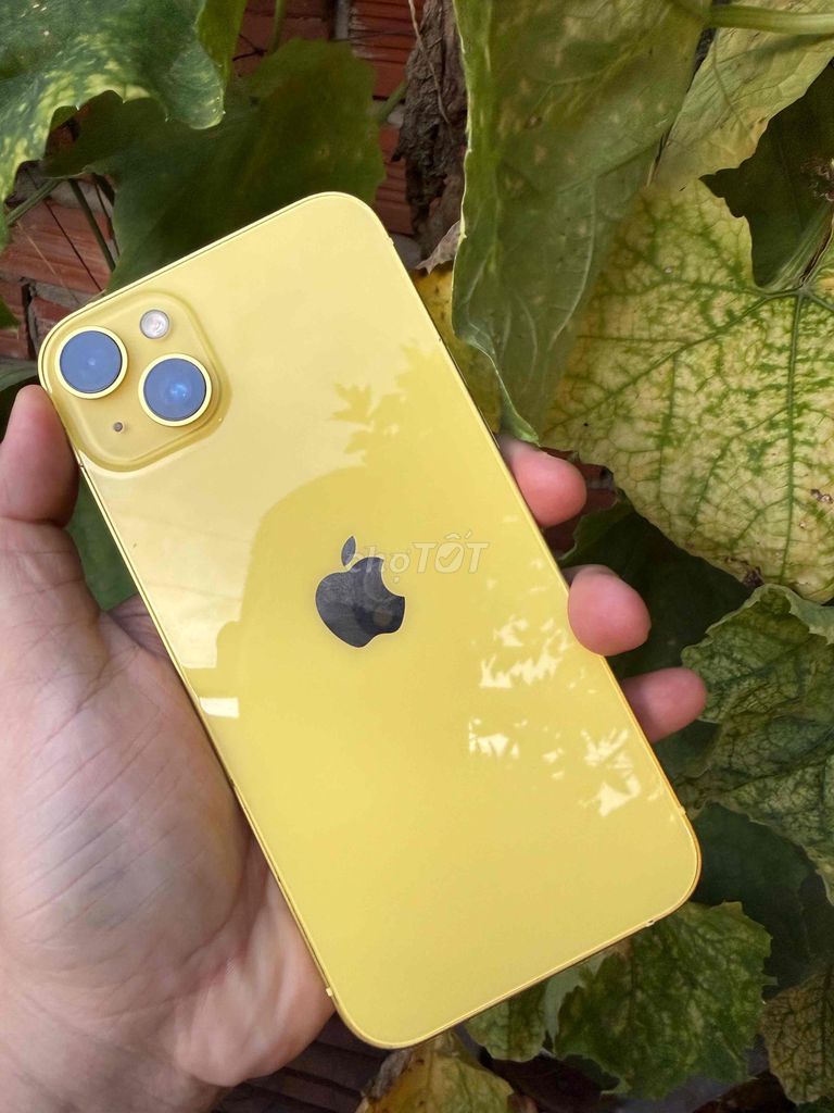 Apple iPhone 14 Plus 256GB Vàng 2 sim pin cao đẹp. Mua bán Điện thoại tại Thành phố Sa Đéc Đồng Tháp được đăng bởi trà văn lâm hình 1