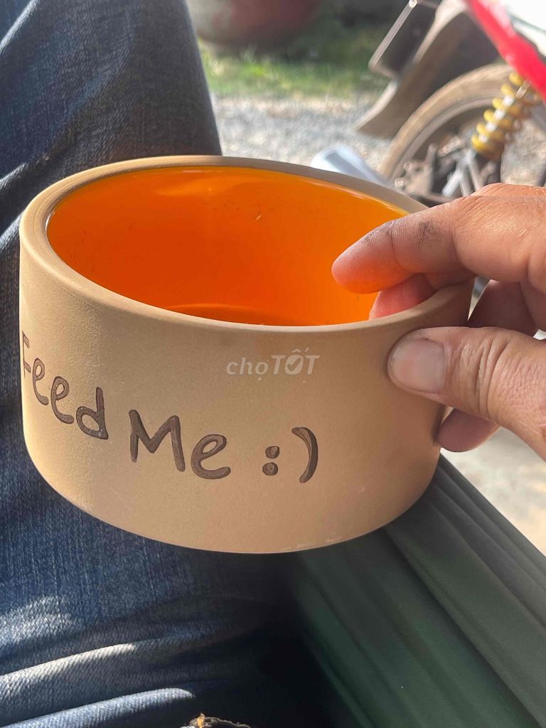 Bát ăn thú cưng Gốm sứ. Mua bán Phụ kiện, Thức ăn, Dịch vụ tại Huyện Đức Hòa Long An được đăng bởi Truong Tuan hình 1