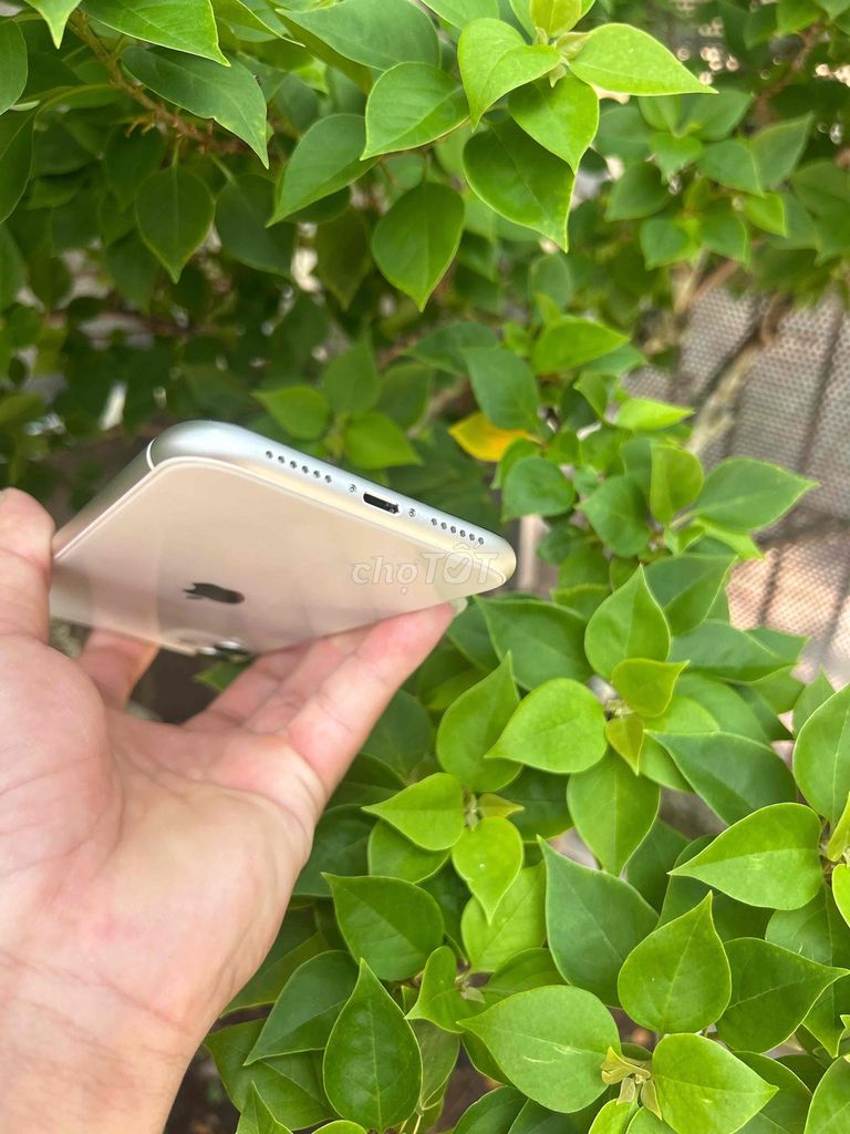 Apple iPhone 11 Trắng Nứt lưng. Mua bán Điện thoại tại Thành phố Buôn Ma Thuột Đắk Lắk được đăng bởi Phạm Long hình 1