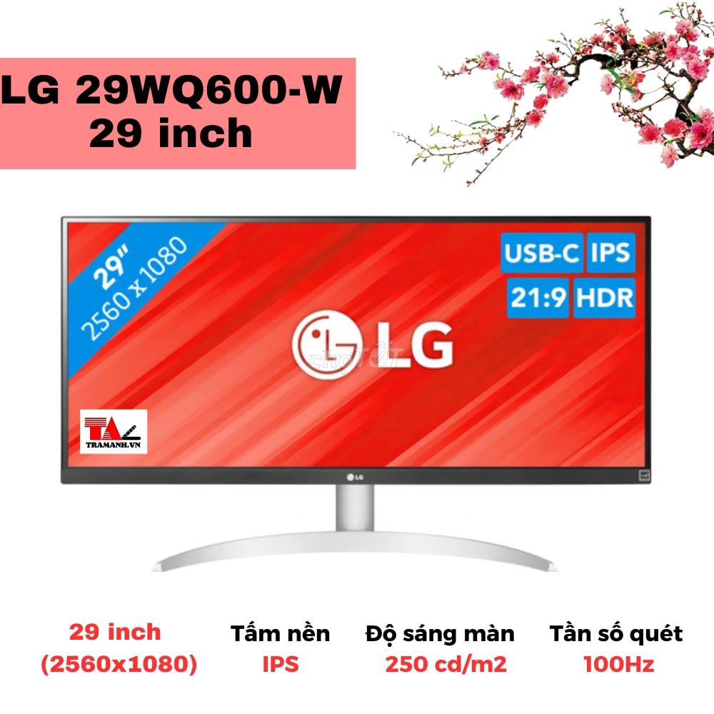 Màn hình 21:9 Siêu rộng Ultra Wide 29WQ600