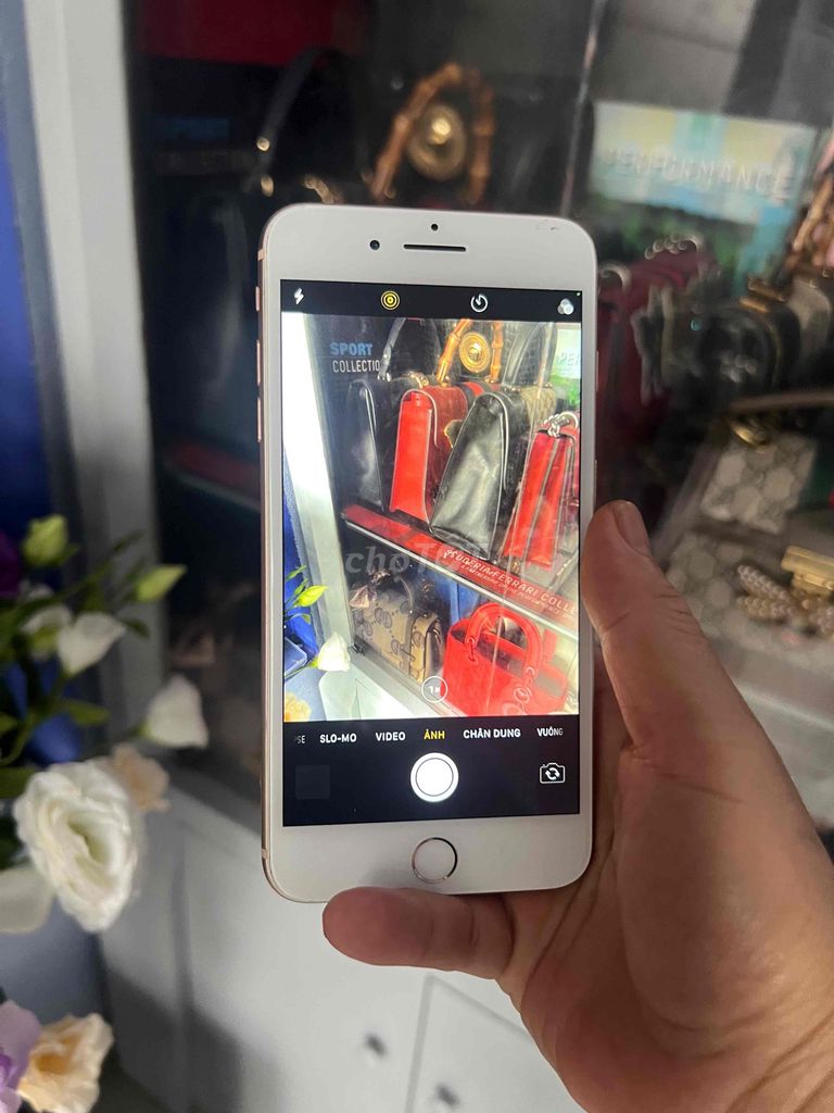 Apple iPhone 8 Plus 64GB Vàng hồng. Mua bán Điện thoại tại Quận Tây Hồ Hà Nội được đăng bởi Chị Hoa hình 1