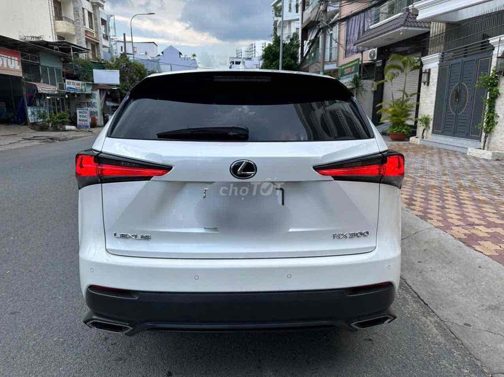Lexus Nx300 2017 photo 5