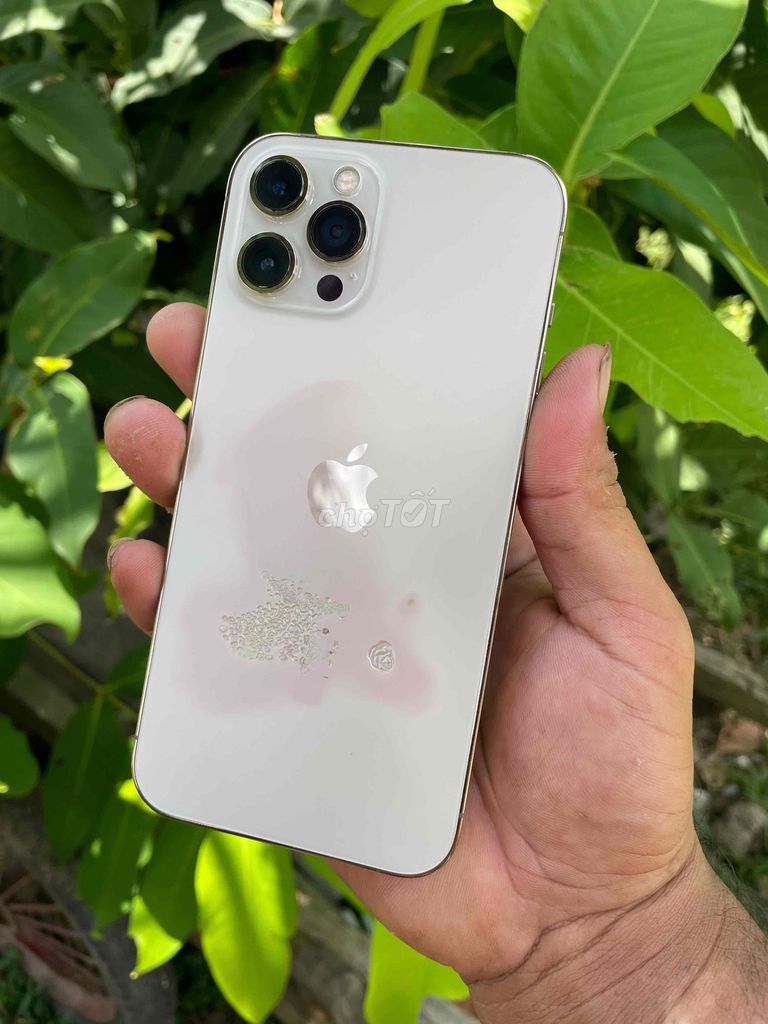 Apple iPhone 12 Pro Max 256GB Vàng. Mua bán Điện thoại tại Thành phố Sóc Trăng Sóc Trăng được đăng bởi Châu Tinh Tinh hình 1