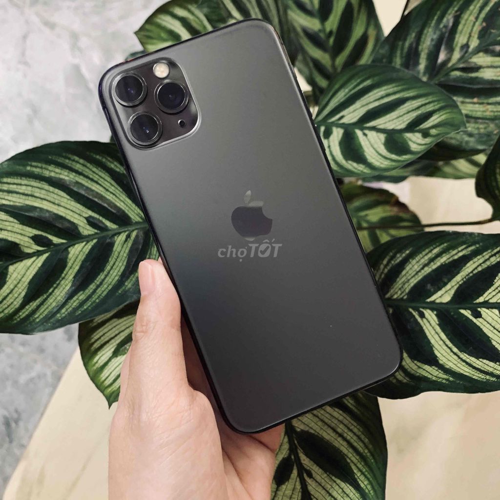 🌈iPhone 11 Pro 256GB Xám quốc tế zin nguyên💖. Mua bán Điện thoại tại Quận Ninh Kiều Cần Thơ được đăng bởi Táo Chất hình 1