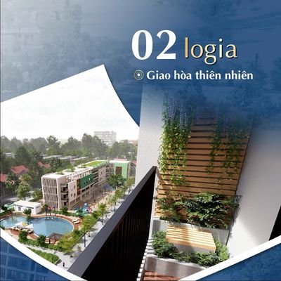 Bình An Plaza. Mua bán căn hộ/chung cư tại Thành phố Thanh Hóa Thanh Hóa được đăng bởi Hien River