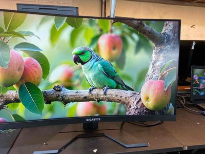 CHIẾC MÀN HÌNH 27IN CONG 165HZ CHIẾN GAME NÉT KENG. Mua bán Phụ kiện (Màn hình, Chuột...) tại Quận Gò Vấp Tp Hồ Chí Minh được đăng bởi ngọc trang