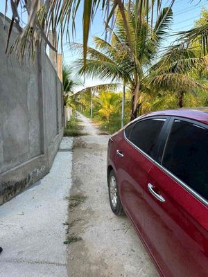 Nhà Sơn Đông TP Bến Tre. Mua bán nhà ở tại Thành phố Bến Tre Bến Tre được đăng bởi Thành Trí BĐS Bến Tre
