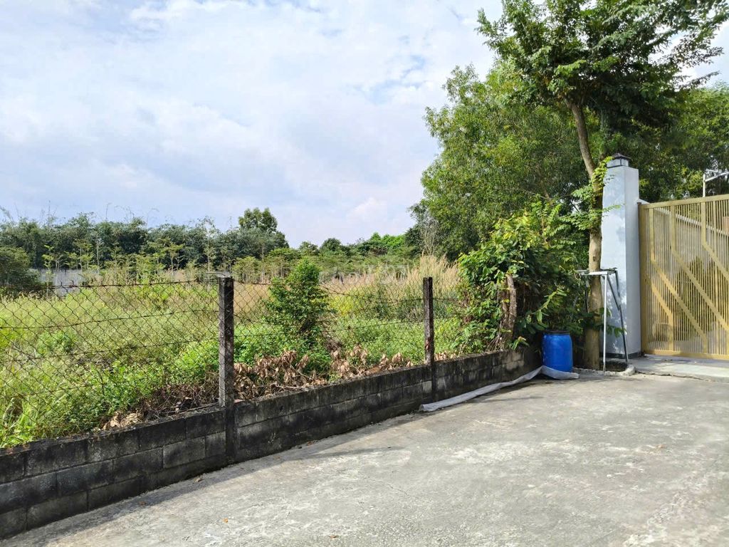 CHÍNH CHỦ BÁN ĐẤT GẤP 1427 m2 ,300m2 THỔ CƯ GIÁ CHỈ 5TR/M2.. Mua bán Đất tại Huyện Củ Chi Tp Hồ Chí Minh được đăng bởi Công Ty Cp Bất Động Sản Ngân Phú Thịnh hình 4