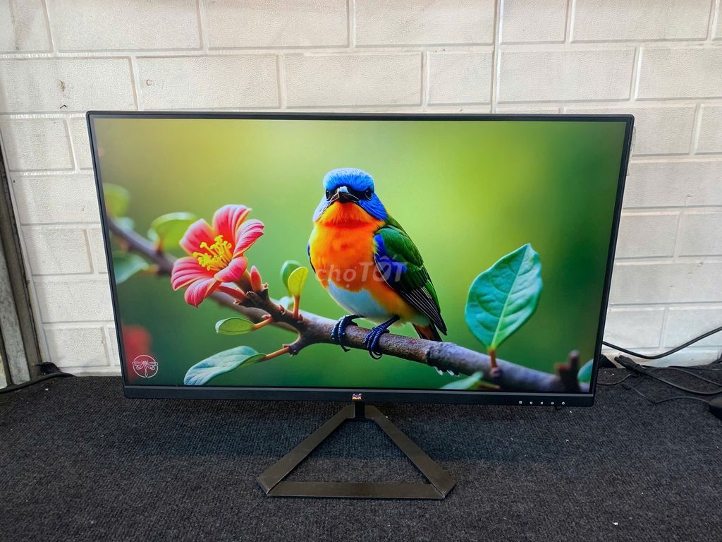 Màn hình Viewsonic 144Hz màn đẹp keng. Mua bán Phụ kiện (Màn hình, Chuột...) tại Quận Phú Nhuận Tp Hồ Chí Minh được đăng bởi tiến tài 770 nguyễn kiệm p4 quận phú nhuận hình 1