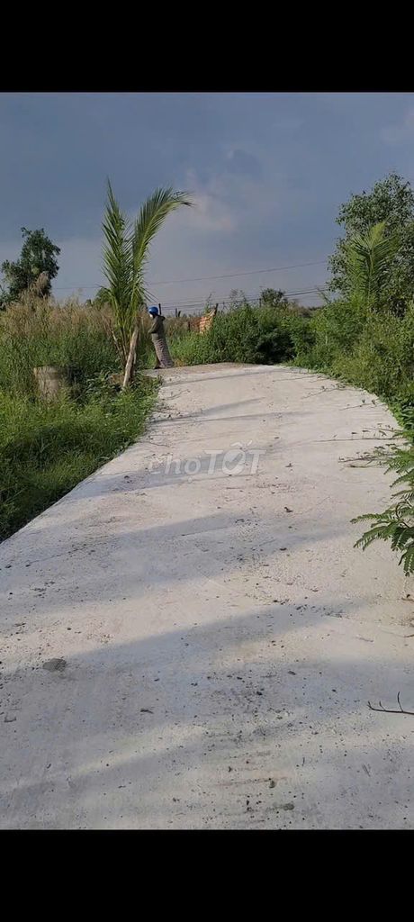 🔥Bán đất nhà vườn nghỉ dưỡng tại Cần Giuộc – Long An🔥. Mua bán đất tại Huyện Cần Giuộc Long An được đăng bởi Nguyễn Xuân Ninh hình 1