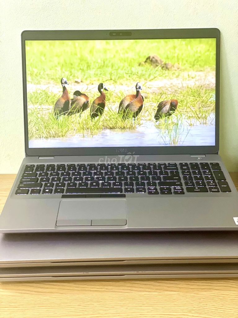 Dell Latitude 5511 i7 10850H 16GB lướt như mớiUS. Mua bán Laptop tại Quận Cầu Giấy Hà Nội được đăng bởi Quốc Trường hình 1