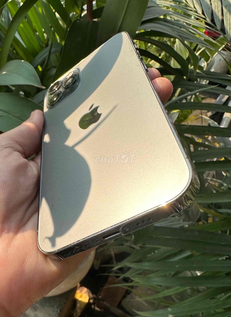 iphone 12pro zin đẹp 98% Quốc Tế. Mua bán Điện thoại tại Quận 7 Tp Hồ Chí Minh được đăng bởi NAILS Duy hình 1