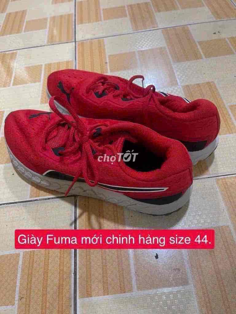 Giày thể thao Fuma Đỏ size 44. Mua bán Giày dép tại Quận 12 Tp Hồ Chí Minh được đăng bởi HT 86 hình 1