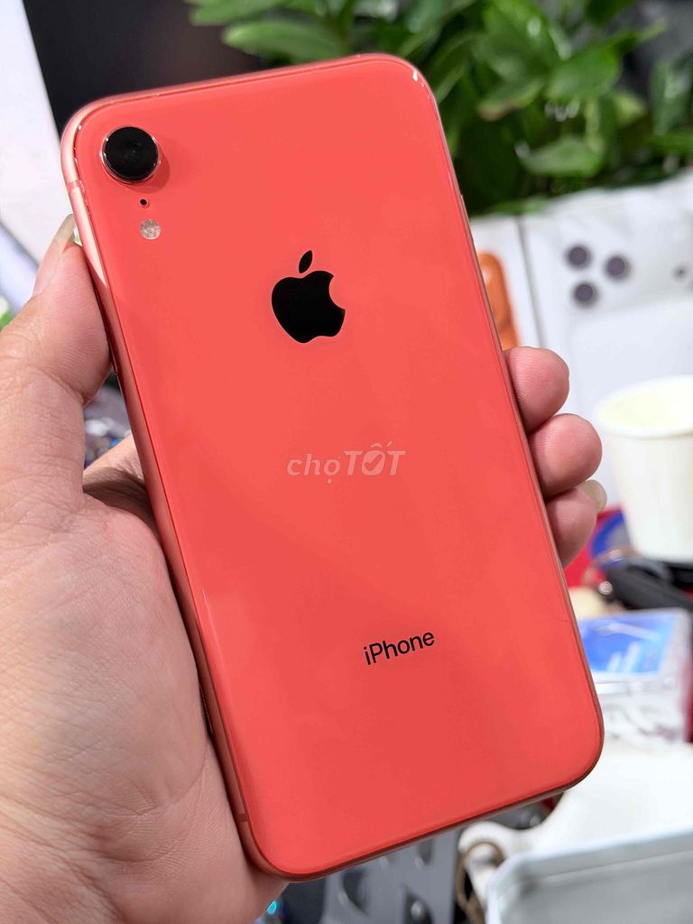 iPhone XR qt 128gb pin 100% bán hay gl đt bù trừ. Mua bán Điện thoại tại Thành phố Biên Hòa Đồng Nai được đăng bởi HUNG  hình 1