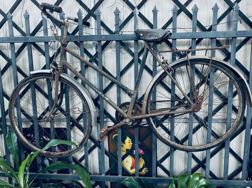 Xe đạp Phượng Hoàng Cổ điển Kim loại. Mua bán Xe đạp tại Thành phố Buôn Ma Thuột Đắk Lắk được đăng bởi Hoan2h hình 1