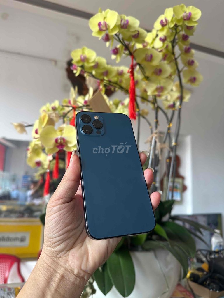 iphone 12 pro 128G xanh dương - quốc tế