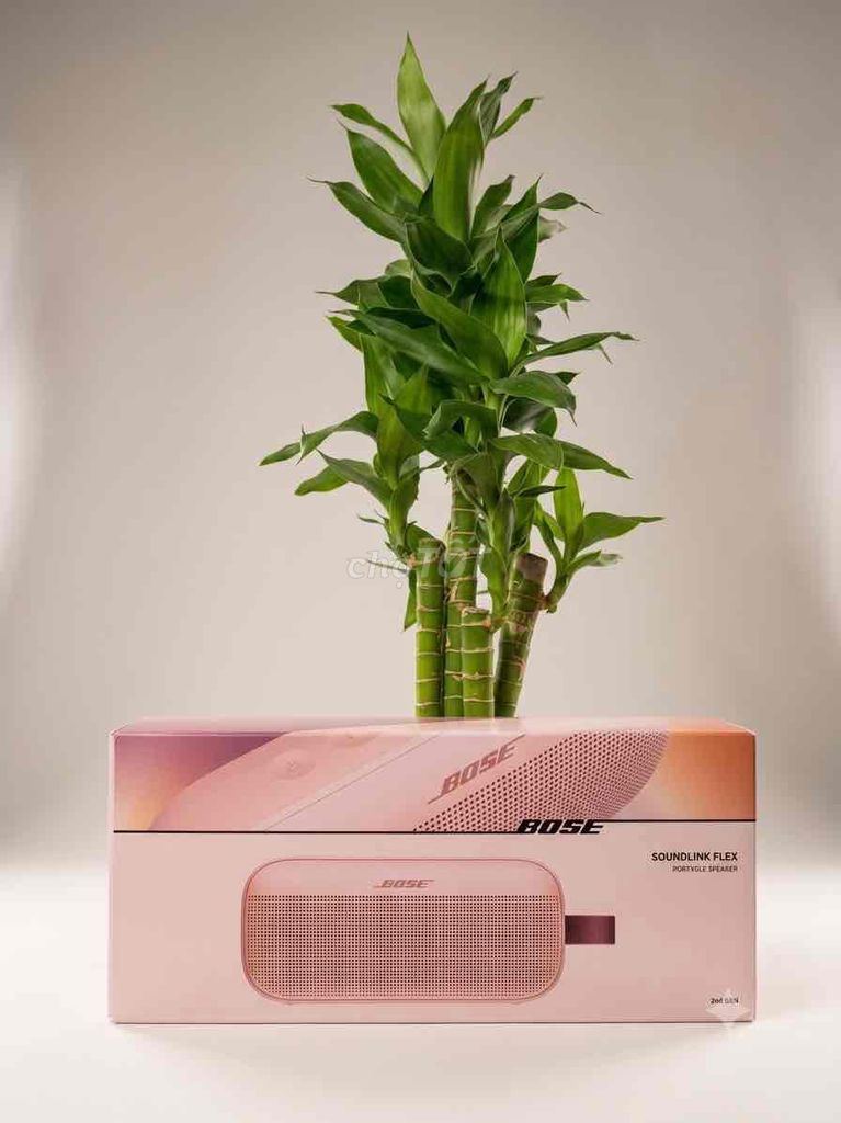Loa Bluetooth Bose Flex 2 Hồng Mới. Mua bán Tivi, Âm thanh tại Quận Gò Vấp Tp Hồ Chí Minh được đăng bởi Nguyễn Thuận hình 1