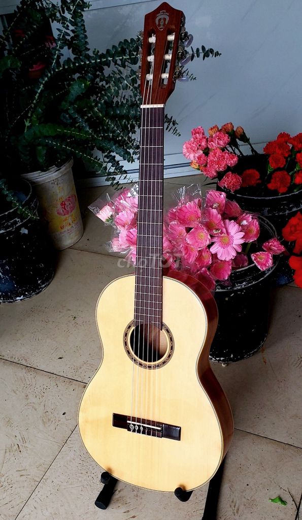 Đàn Guitar size 3/4 Classic đẹp lắm ❤