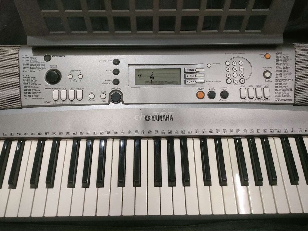 Đàn organ Yamaha vn300