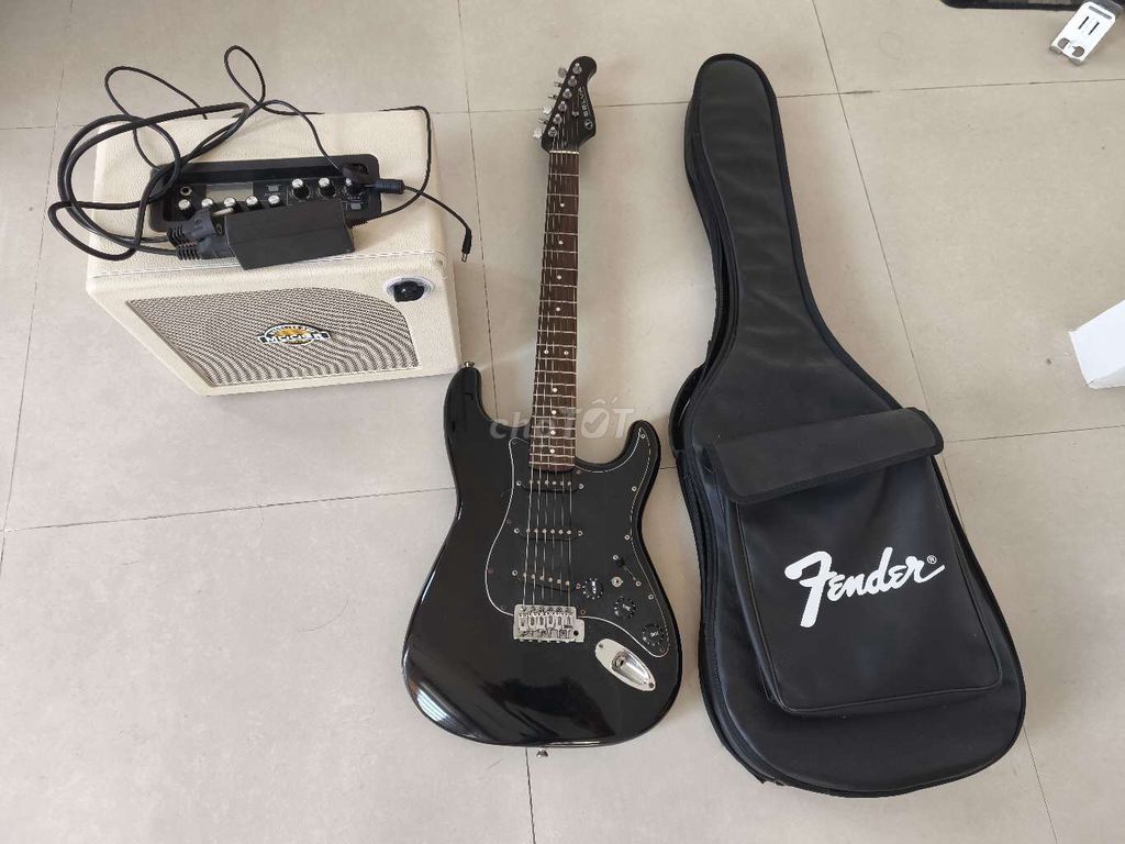 Đàn guitar điện Selva Đen. Mua bán Nhạc cụ tại Quận Ninh Kiều Cần Thơ được đăng bởi Long hình 1