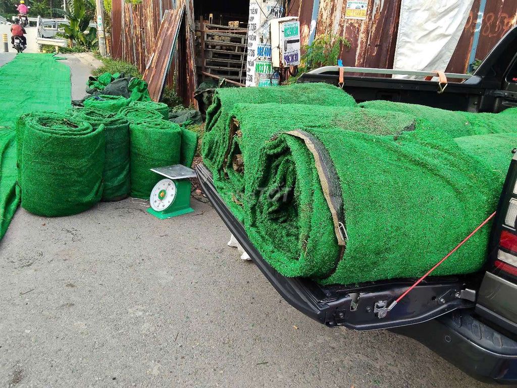 Cỏ nhân tạo mới 100% , Giảm giá cực sốc 950k/ cuộn. Mua bán Cây cảnh, đồ trang trí tại Quận Tân Bình Tp Hồ Chí Minh được đăng bởi Cỏ nhân tạo MN hình 5