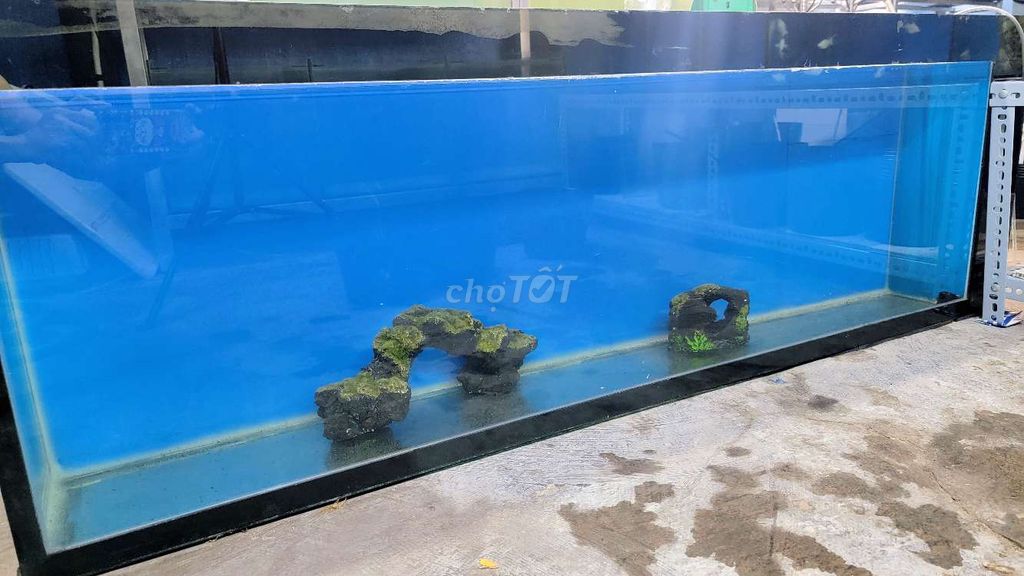 Hồ cá 1m5 x 30cm x 50cm. Mua bán Phụ kiện, Thức ăn, Dịch vụ tại Quận 8 Tp Hồ Chí Minh được đăng bởi Trang Thanh Tuấn hình 1