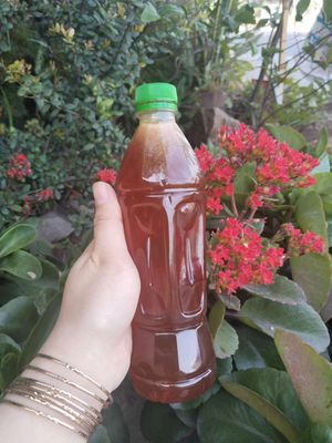 Mật ong ruồi /1lit. Mua bán Đồ ăn, thực phẩm và các loại khác tại Quận Tân Phú Tp Hồ Chí Minh được đăng bởi A trung