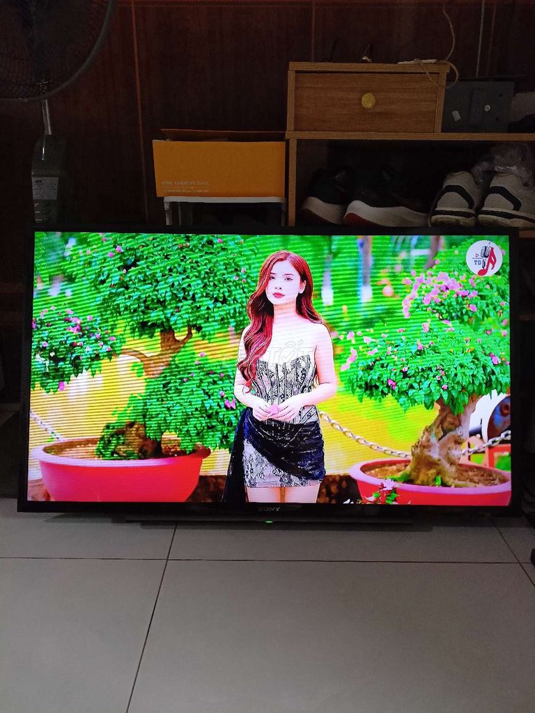 Tivi led Sony 40 inch màu sắc sáng đẹp