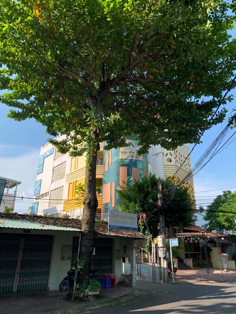Bán tòa nhà 349m2, 5 lầu, Ngô Đức Kế, Vũng Tàu, Doanh thu ổn định