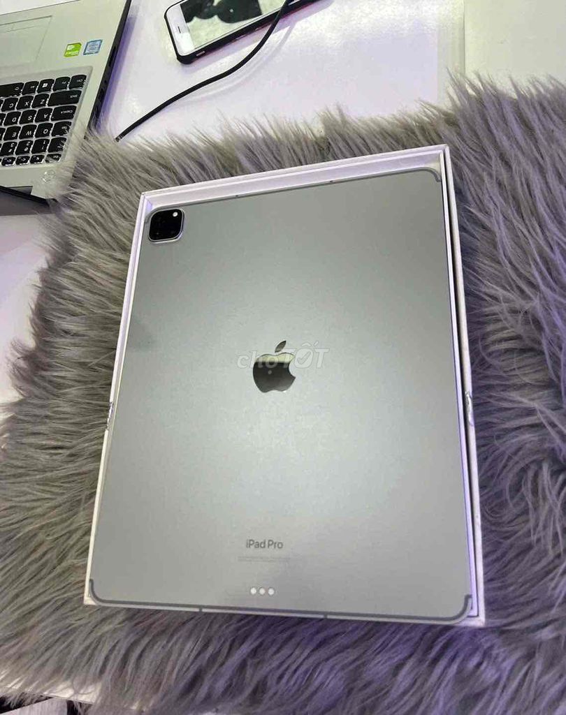 iPad Pro M1 Gray 12.9 inch 512G 5G pin 89%