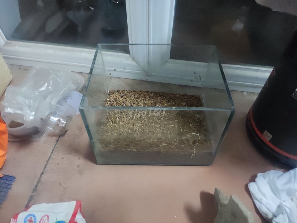 Bể kính 60x30x30 cm. Mua bán Phụ kiện, Thức ăn, Dịch vụ tại Quận Hai Bà Trưng Hà Nội được đăng bởi Sơn Vũ hình 1