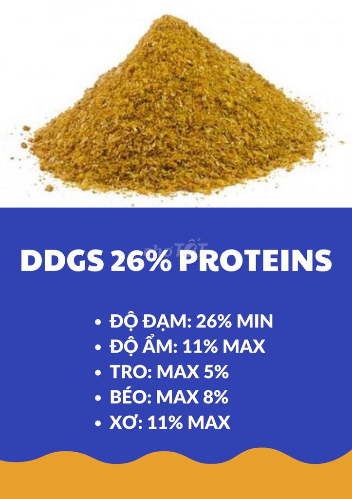 DDGS – Bã Bắp Lên Men 26% Đạm