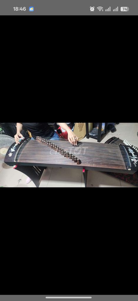 Đàn tranh Guzheng Đã sử dụng. Mua bán Nhạc cụ tại Quận Gò Vấp Tp Hồ Chí Minh được đăng bởi Lê Trang hình 1