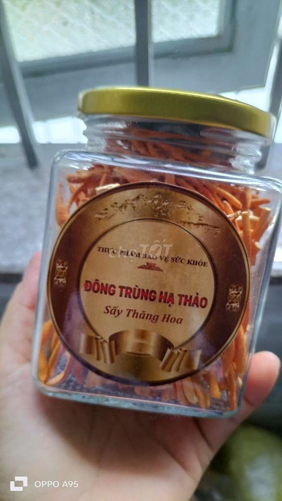 nấm đông trùng hạ thảo