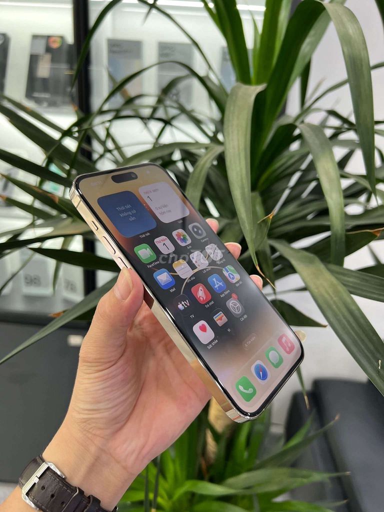iphone 14 Pro Max quốc tế còn đẹp full có ship. Mua bán Điện thoại tại Quận Sơn Trà Đà Nẵng được đăng bởi nhut hình 1