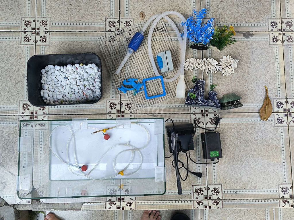 Hồ cá cảnh Kính 50x30x30cm Đã sử dụng. Mua bán Phụ kiện, Thức ăn, Dịch vụ tại Huyện Long Thành Đồng Nai được đăng bởi Viết Phong hình 1