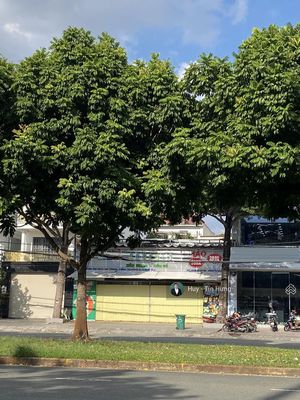 Bán nhà MT Vành Đai Trong, 10 x 25m, cấp 4, giá 41.5 tỷ (Tín Hưng). Mua bán nhà ở tại Quận Bình Tân Tp Hồ Chí Minh được đăng bởi Tín Hưng