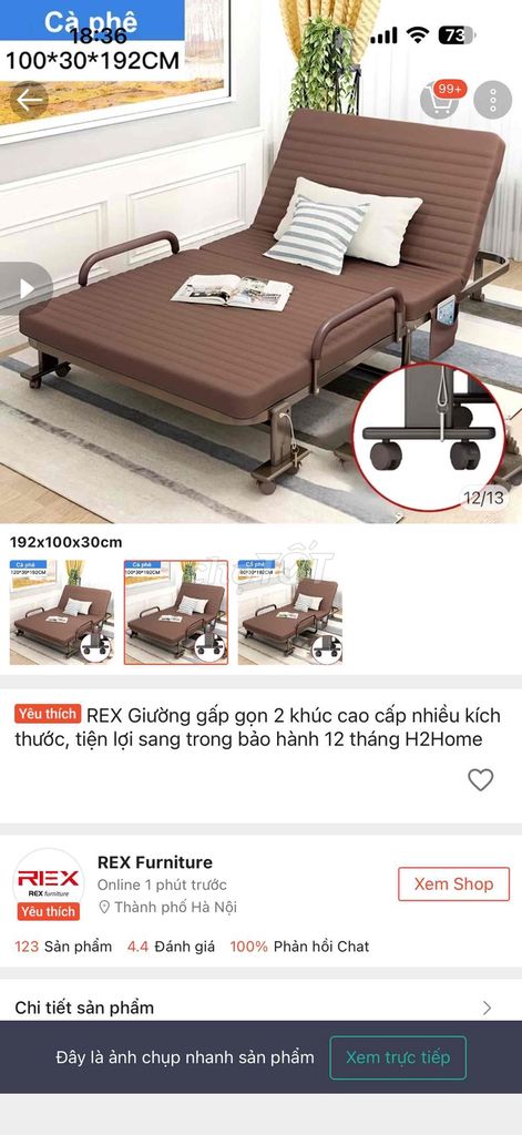 Giường gấp REX Furniture Kim loại Nâu. Mua bán Giường, chăn ga gối nệm tại Thành phố Thủ Đức Tp Hồ Chí Minh được đăng bởi Chi Chi hình 1