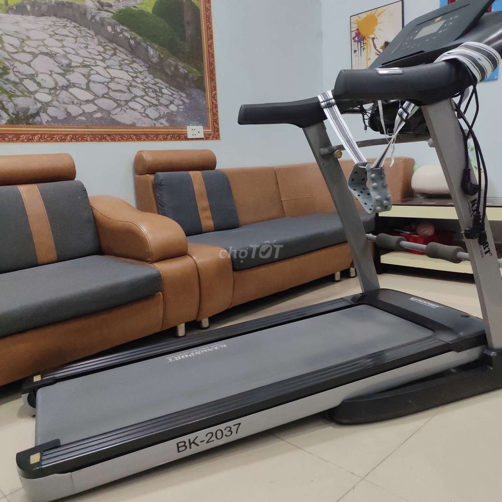 Máy chạy bộ Kingsport BK-2037 Đa năng Đã sử dụng