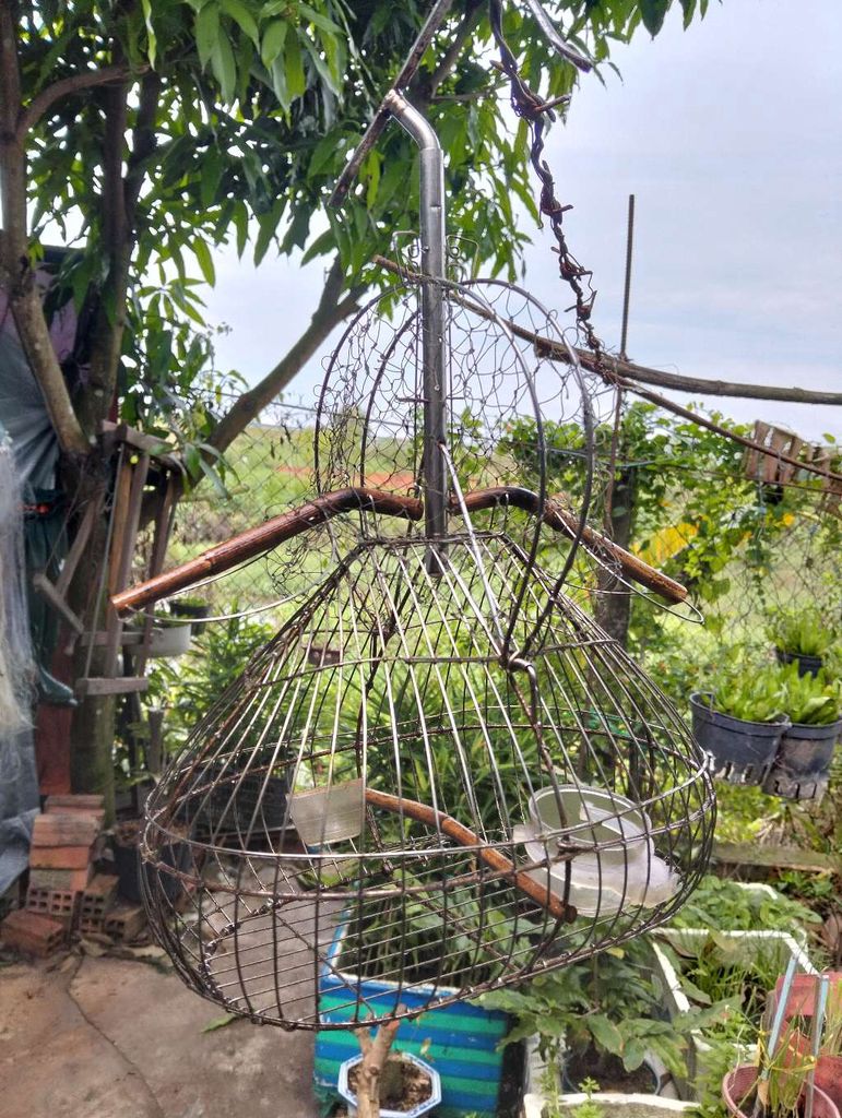 Lồng bẫy chim Inox 3 xị. Mua bán Phụ kiện, Thức ăn, Dịch vụ tại Huyện Gò Dầu Tây Ninh được đăng bởi Đại hình 1