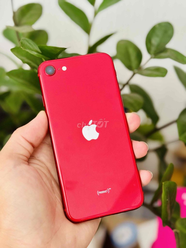 Apple iPhone SE 2020 128GB Đỏ. Mua bán Điện thoại tại Quận Thanh Khê Đà Nẵng được đăng bởi Thương Mobile hình 1