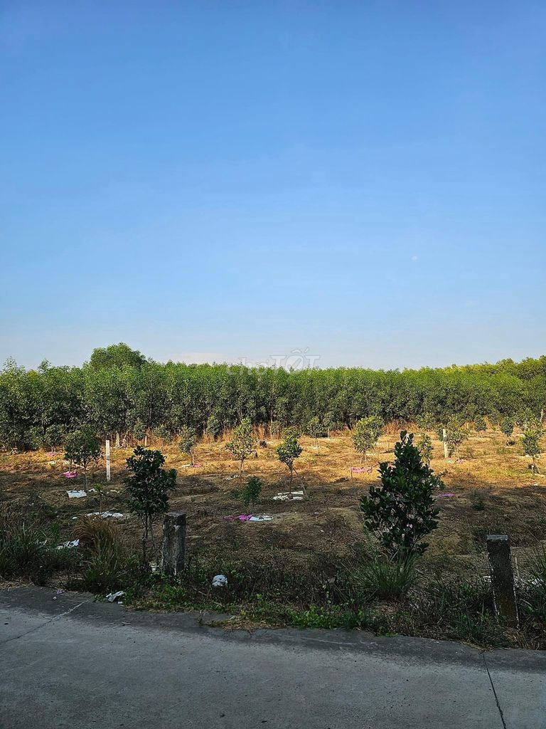 Bán 1000m2 đất quy hoạch đất ở tại xã Bình Lợi, Vĩnh Cử