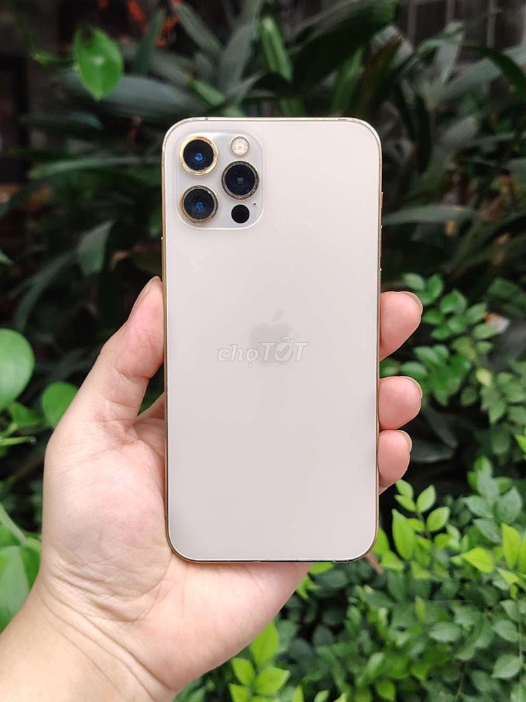 Apple iPhone 12 Pro 128GB Vàng. Mua bán Điện thoại tại Quận Hải An Hải Phòng được đăng bởi Đoàn Hoàng Vân San hình 1
