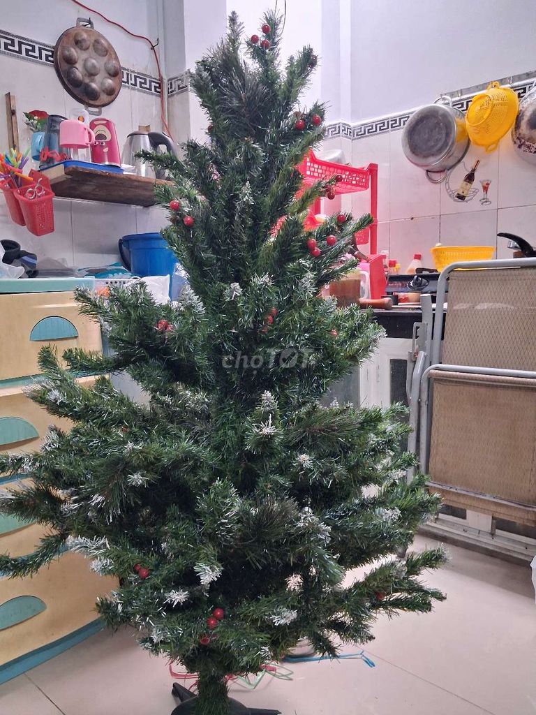 Cây thông trang trí Nhựa Xanh lá Giáng sinh. Mua bán Cây cảnh, đồ trang trí tại Quận 8 Tp Hồ Chí Minh được đăng bởi Ngọc Hải hình 1